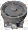 BEHR HELLA SERVICE 8MP 376 807-021 Water Pump